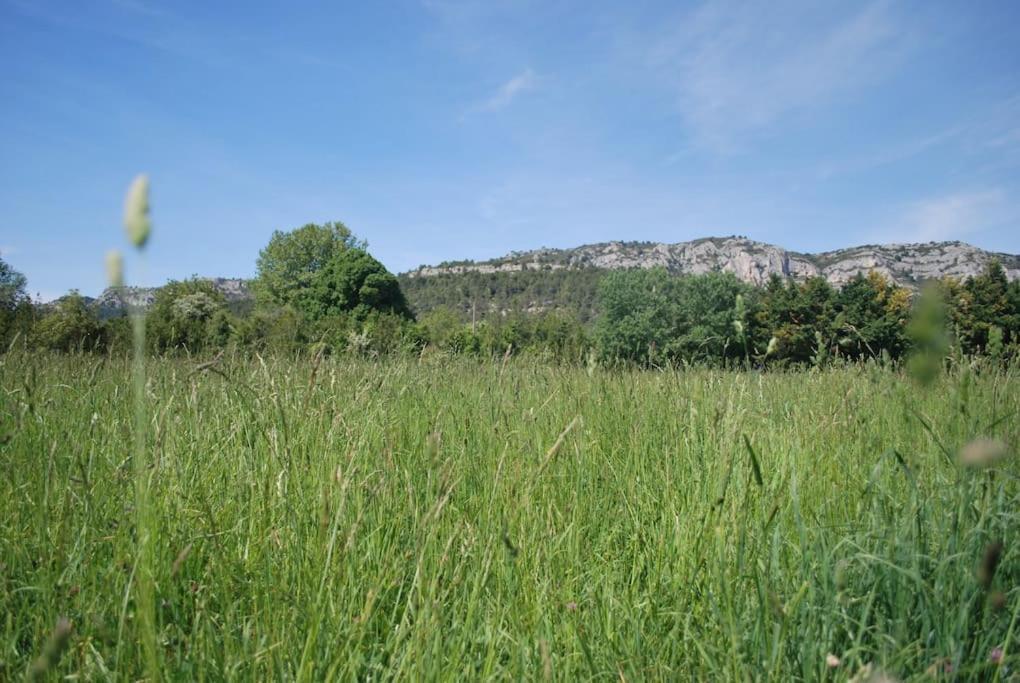 Le Cabanon Tendance Du Luberon Merindol Exterior photo